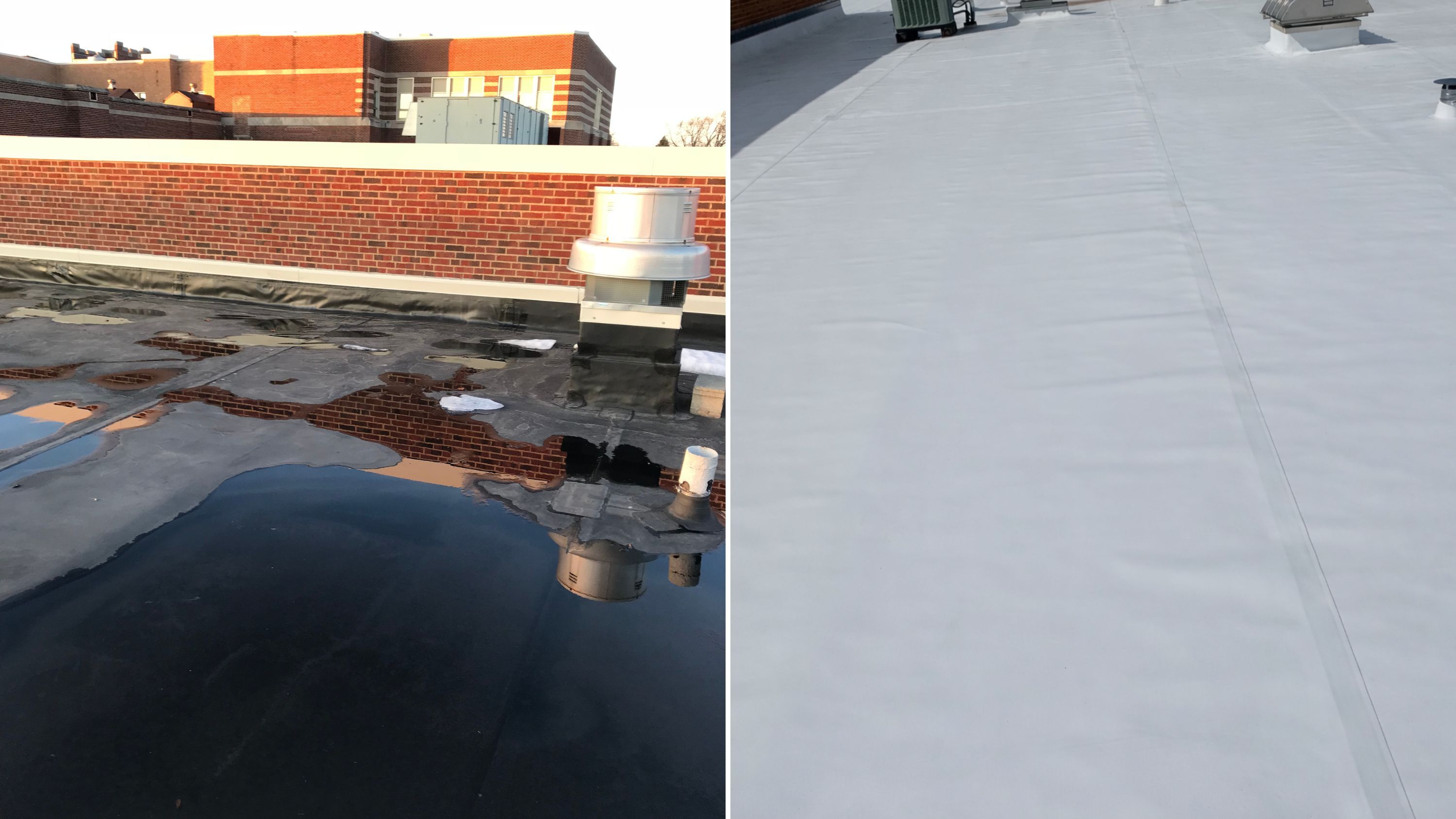 Roof before and after
