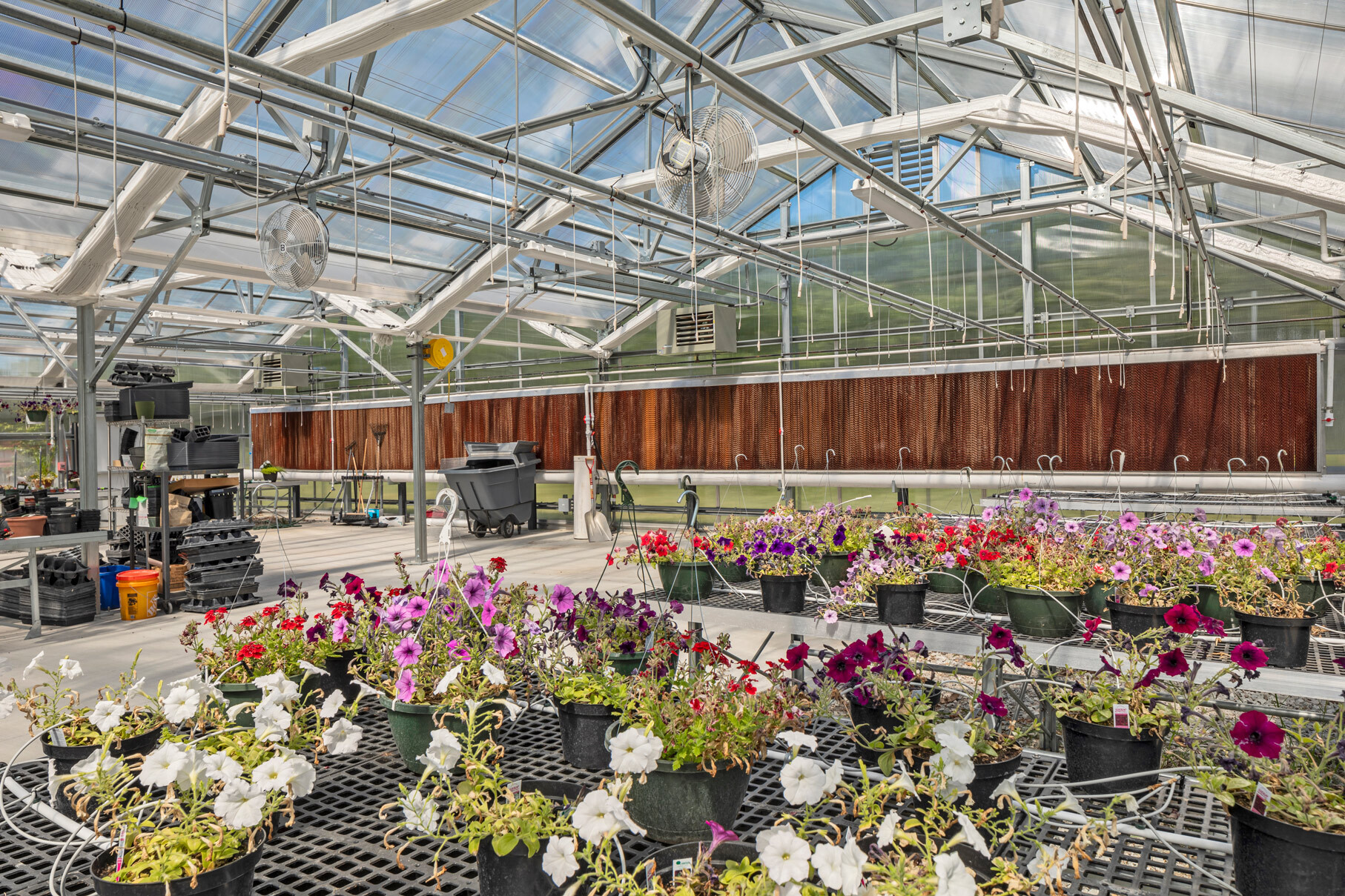 Seymour High School Ag Science Facility 3