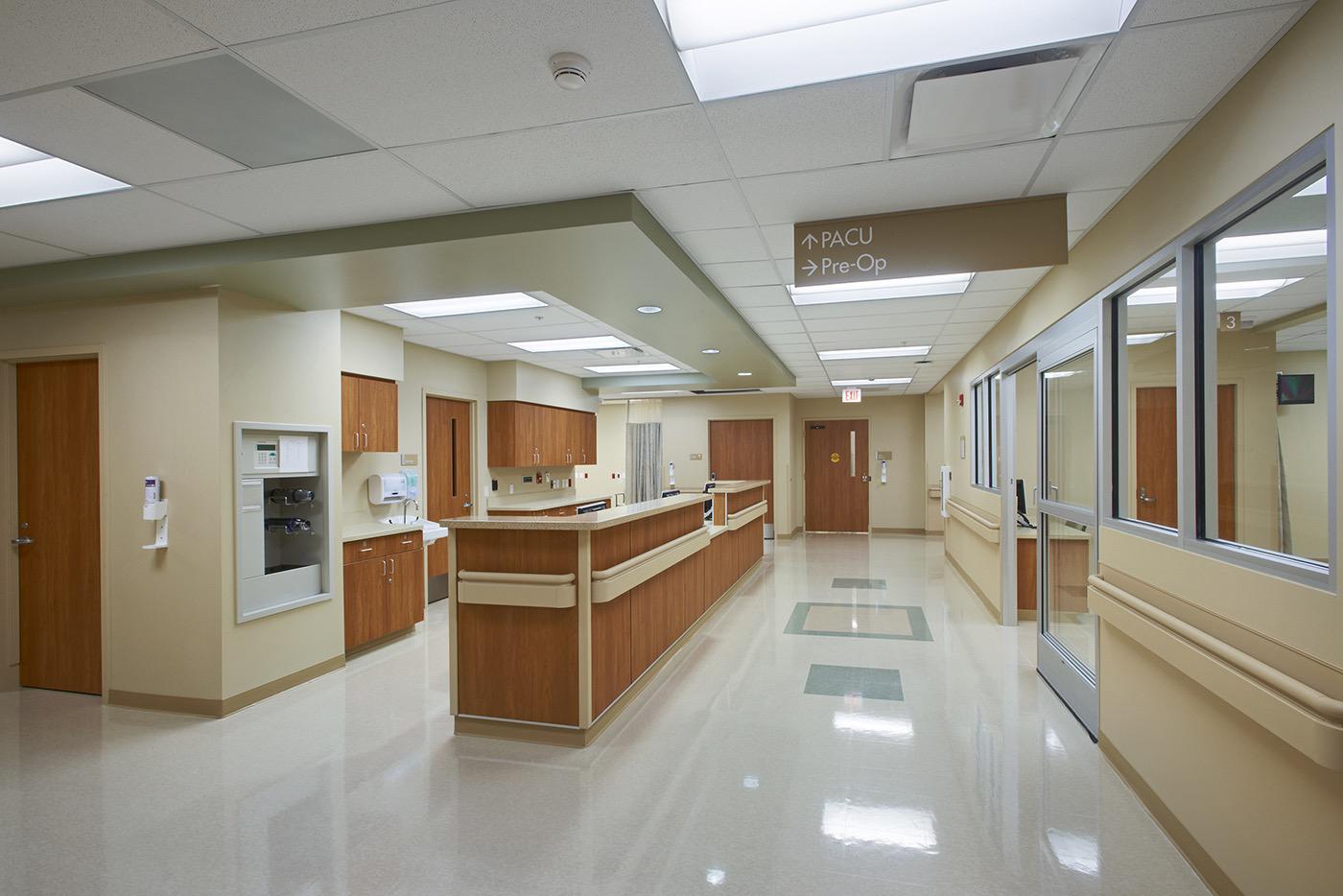 Chestnut hill hospital