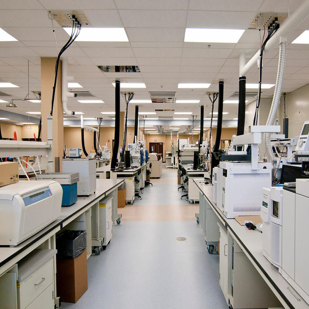 Wilma Rudolph Sports Testing Lab2